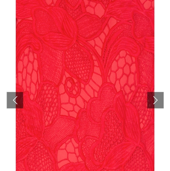 Lovers and Friends Red Caspian Lace Shift Dress - Picture 2 of 4